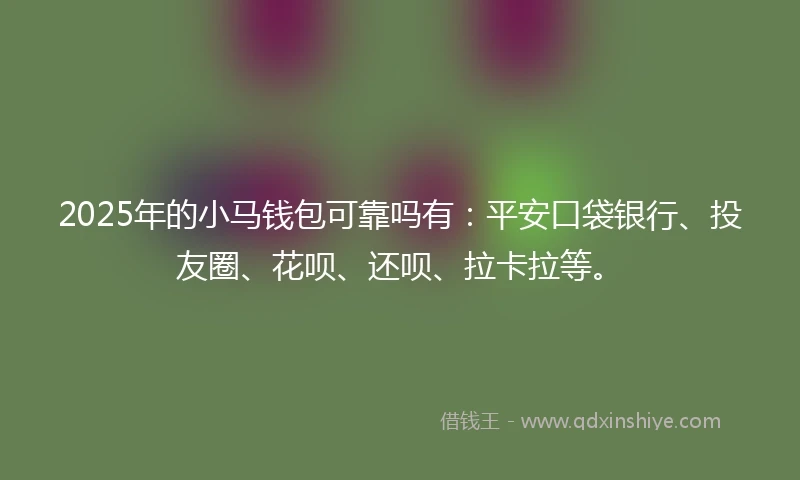 2025年的小马钱包可靠吗有：平安口袋银行、投友圈、花呗、还呗、拉卡拉等。