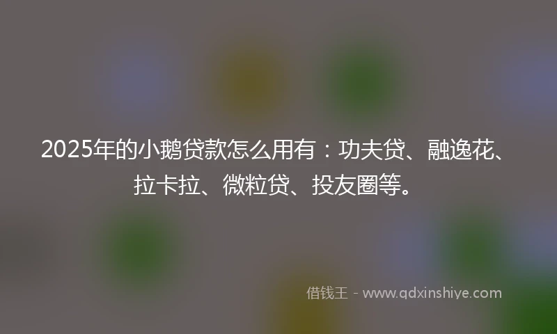 2025年的小鹅贷款怎么用有：功夫贷、融逸花、拉卡拉、微粒贷、投友圈等。
