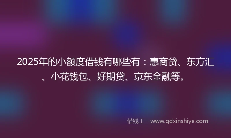 2025年的小额度借钱有哪些有：惠商贷、东方汇、小花钱包、好期贷、京东金融等。