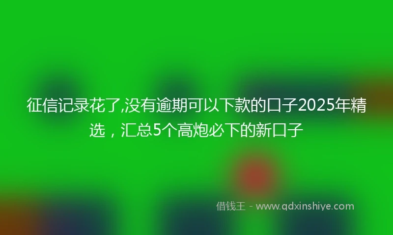 征信记录花了,没有逾期可以下款的口子2025年精选，汇总5个高炮必下的新口子