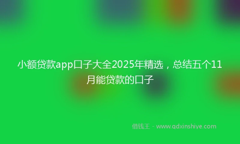 小额贷款app口子大全2025年精选，总结五个11月能贷款的口子