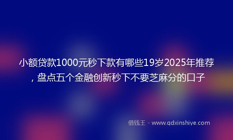 小额贷款1000元秒下款有哪些19岁2025年推荐，盘点五个金融创新秒下不要芝麻分的口子