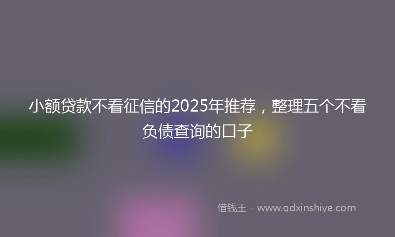 小额贷款不看征信的2025年推荐，整理五个不看负债查询的口子