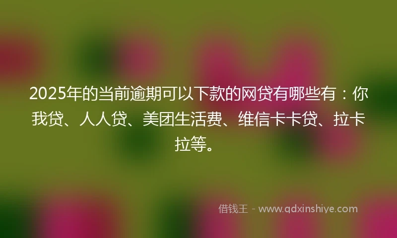 2025年的当前逾期可以下款的网贷有哪些有：你我贷、人人贷、美团生活费、维信卡卡贷、拉卡拉等。
