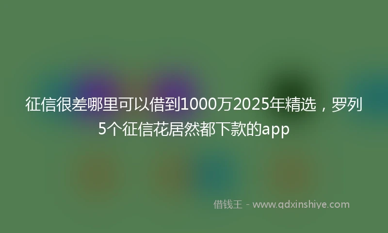 征信很差哪里可以借到1000万2025年精选，罗列5个征信花居然都下款的app