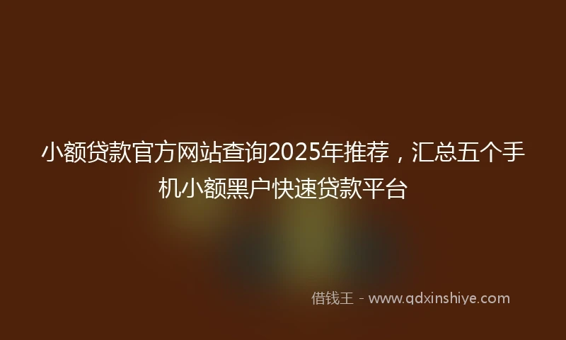 小额贷款官方网站查询2025年推荐，汇总五个手机小额黑户快速贷款平台
