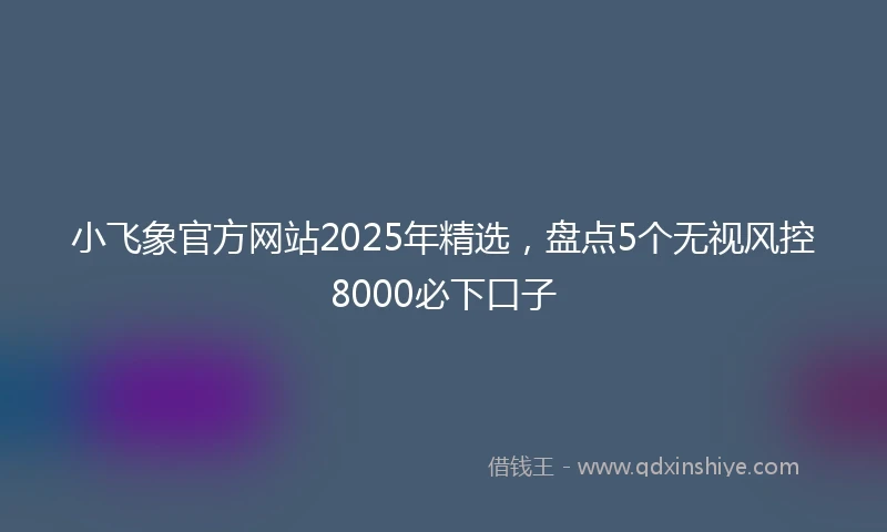 小飞象官方网站2025年精选，盘点5个无视风控8000必下口子