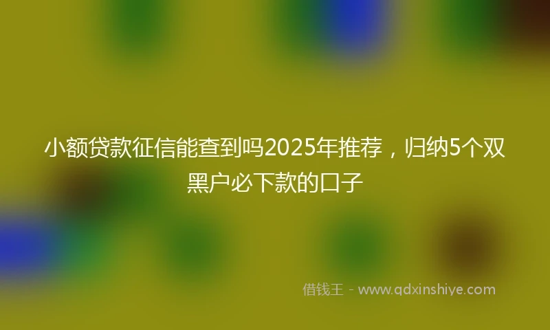 小额贷款征信能查到吗2025年推荐,归纳5个双黑户必下款的口子
