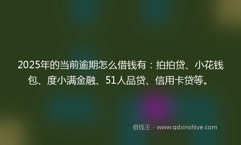 2025年的当前逾期怎么借钱有：拍拍贷、小花钱包、度小满金融、51人品贷、信用卡贷等。