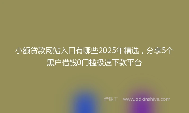 小额贷款网站入口有哪些2025年精选，分享5个黑户借钱0门槛极速下款平台