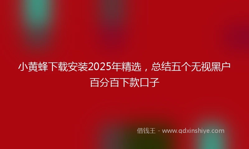 小黄蜂下载安装2025年精选，总结五个无视黑户百分百下款口子