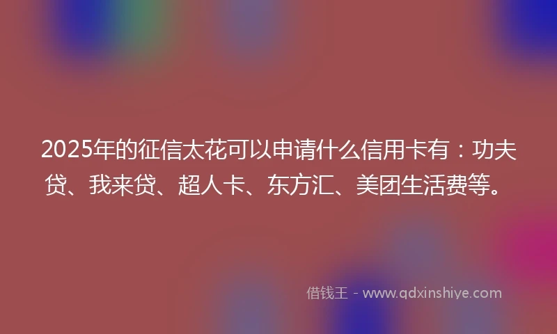 2025年的征信太花可以申请什么信用卡有：功夫贷、我来贷、超人卡、东方汇、美团生活费等。