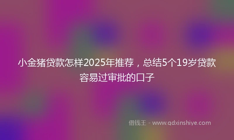 小金猪贷款怎样2025年推荐，总结5个19岁贷款容易过审批的口子