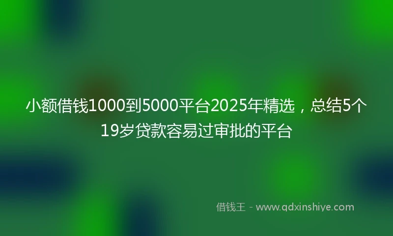 小额借钱1000到5000平台2025年精选，总结5个19岁贷款容易过审批的平台