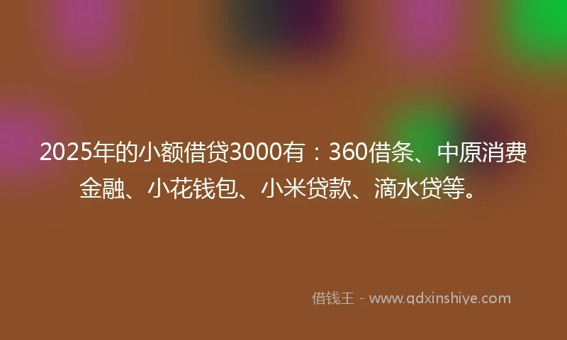 2025年的小额借贷3000有：360借条、中原消费金融、小花钱包、小米贷款、滴水贷等。