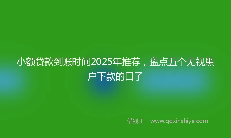 小额贷款到账时间2025年推荐，盘点五个无视黑户下款的口子