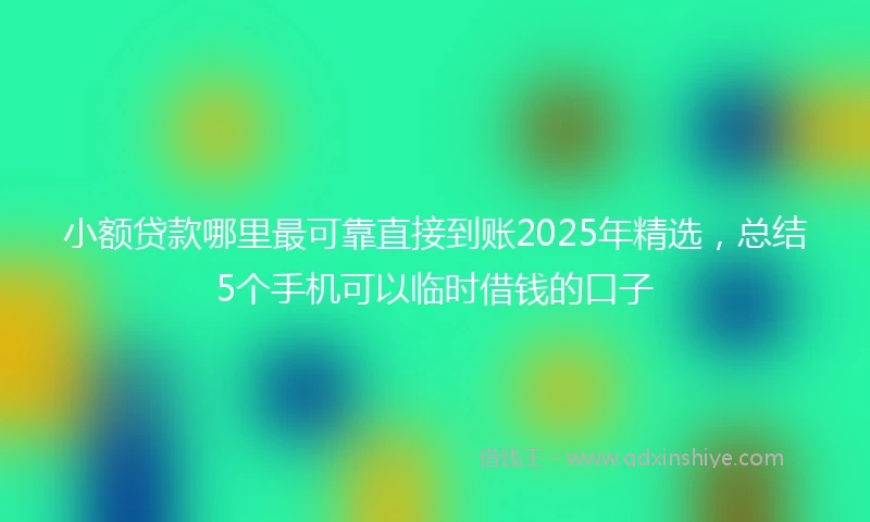 小额贷款哪里最可靠直接到账2025年精选，总结5个手机可以临时借钱的口子
