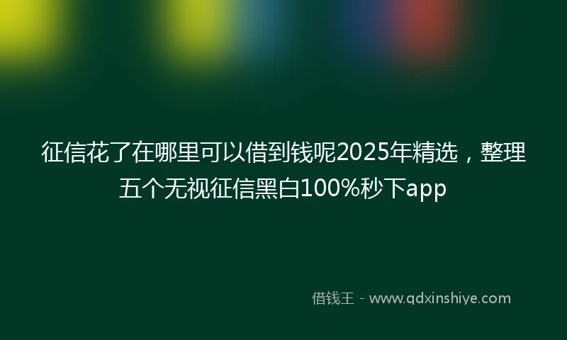 征信花了在哪里可以借到钱呢2025年精选，整理五个无视征信黑白100%秒下app