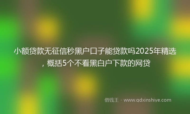 小额贷款无征信秒黑户口子能贷款吗2025年精选，概括5个不看黑白户下款的网贷
