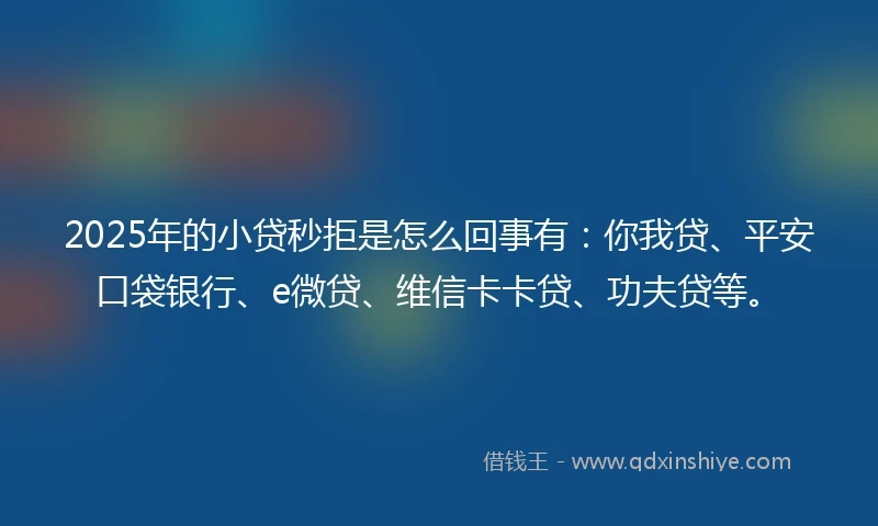 2025年的小贷秒拒是怎么回事有：你我贷、平安口袋银行、e微贷、维信卡卡贷、功夫贷等。