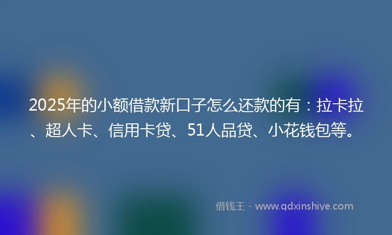 2025年的小额借款新口子怎么还款的有：拉卡拉、超人卡、信用卡贷、51人品贷、小花钱包等。
