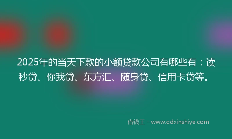 2025年的当天下款的小额贷款公司有哪些有：读秒贷、你我贷、东方汇、随身贷、信用卡贷等。