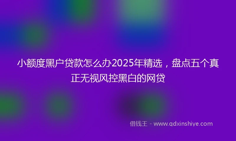 小额度黑户贷款怎么办2025年精选，盘点五个真正无视风控黑白的网贷