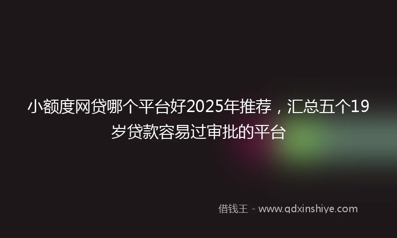 小额度网贷哪个平台好2025年推荐，汇总五个19岁贷款容易过审批的平台