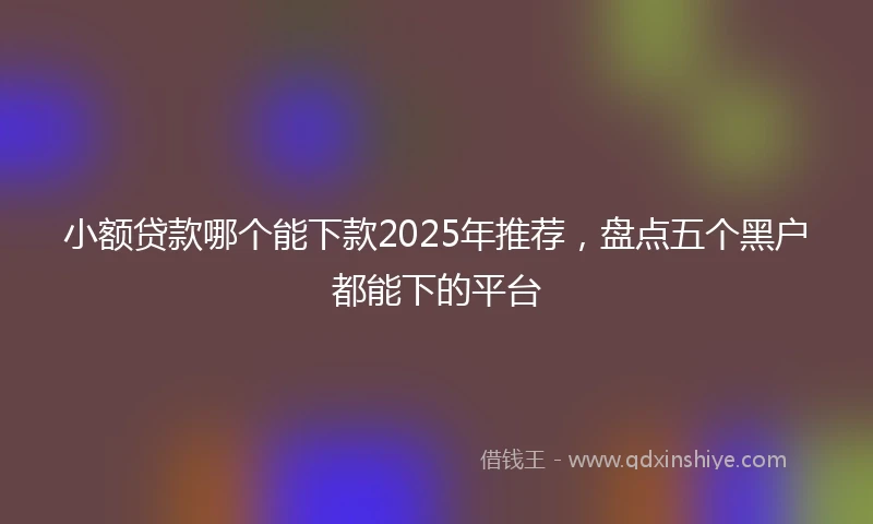 小额贷款哪个能下款2025年推荐，盘点五个黑户都能下的平台