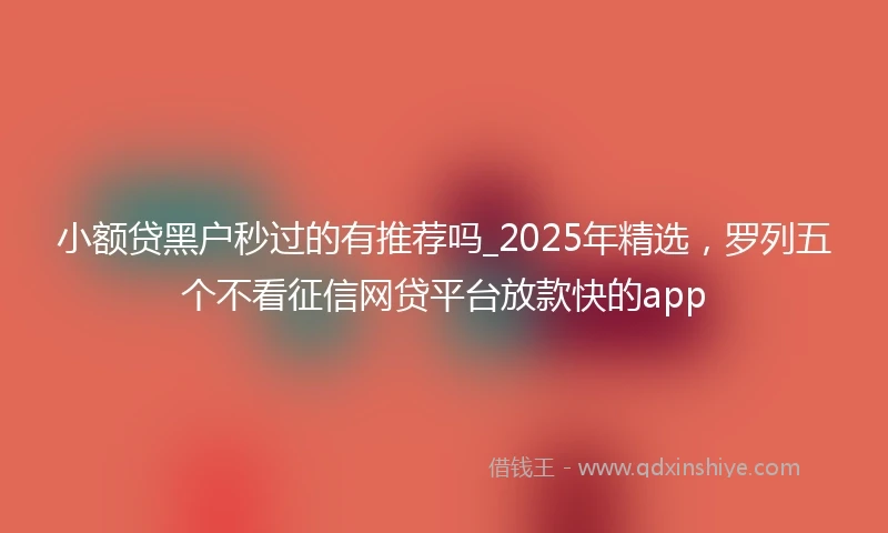 小额贷黑户秒过的有推荐吗_2025年精选，罗列五个不看征信网贷平台放款快的app