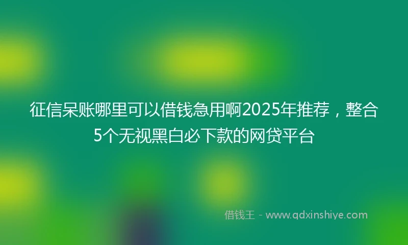 征信呆账哪里可以借钱急用啊2025年推荐，整合5个无视黑白必下款的网贷平台