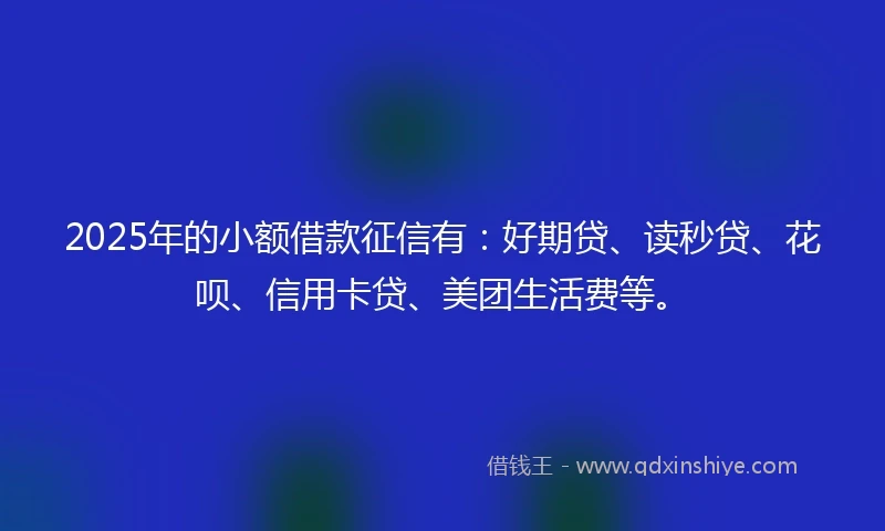 2025年的小额借款征信有：好期贷、读秒贷、花呗、信用卡贷、美团生活费等。