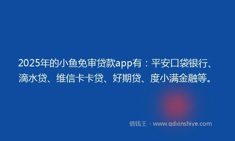 2025年的小鱼免审贷款app有：平安口袋银行、滴水贷、维信卡卡贷、好期贷、度小满金融等。