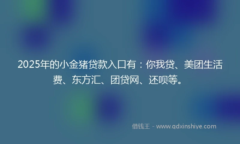 2025年的小金猪贷款入口有：你我贷、美团生活费、东方汇、团贷网、还呗等。