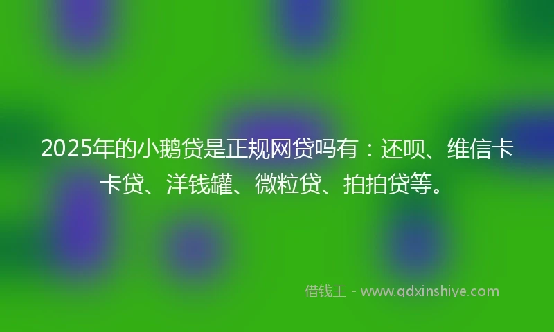 2025年的小鹅贷是正规网贷吗有：还呗、维信卡卡贷、洋钱罐、微粒贷、拍拍贷等。