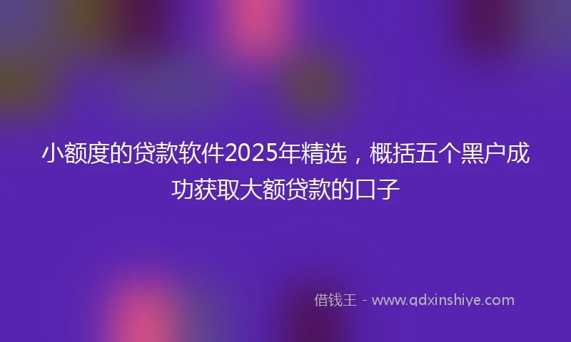 小额度的贷款软件2025年精选，概括五个黑户成功获取大额贷款的口子