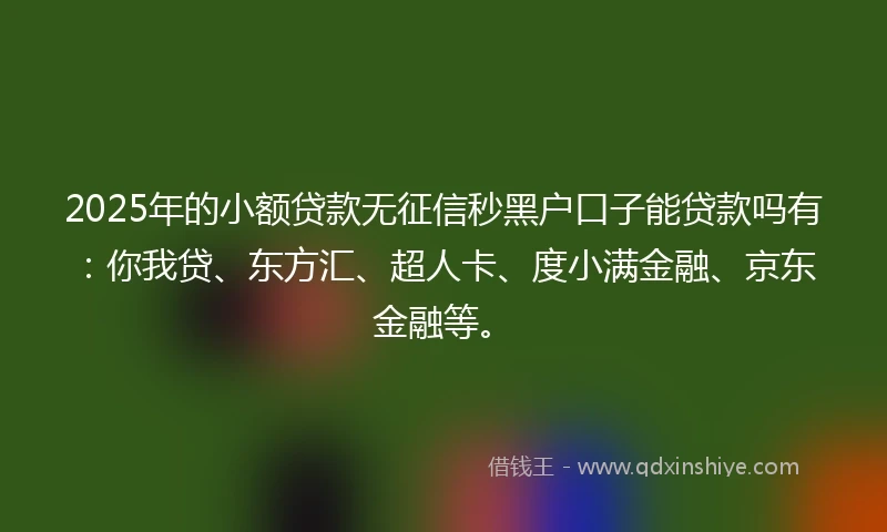 2025年的小额贷款无征信秒黑户口子能贷款吗有：你我贷、东方汇、超人卡、度小满金融、京东金融等。