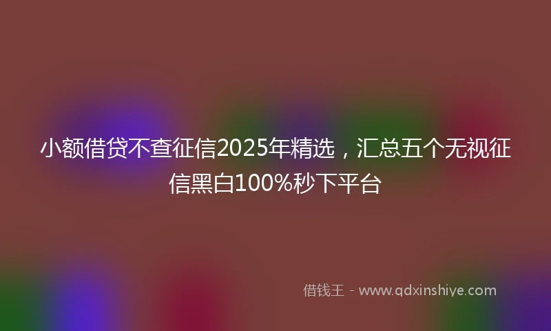 小额借贷不查征信2025年精选，汇总五个无视征信黑白100%秒下平台