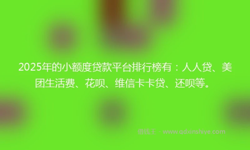 2025年的小额度贷款平台排行榜有：人人贷、美团生活费、花呗、维信卡卡贷、还呗等。