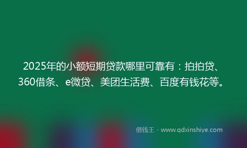 2025年的小额短期贷款哪里可靠有：拍拍贷、360借条、e微贷、美团生活费、百度有钱花等。