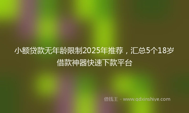 小额贷款无年龄限制2025年推荐，汇总5个18岁借款神器快速下款平台