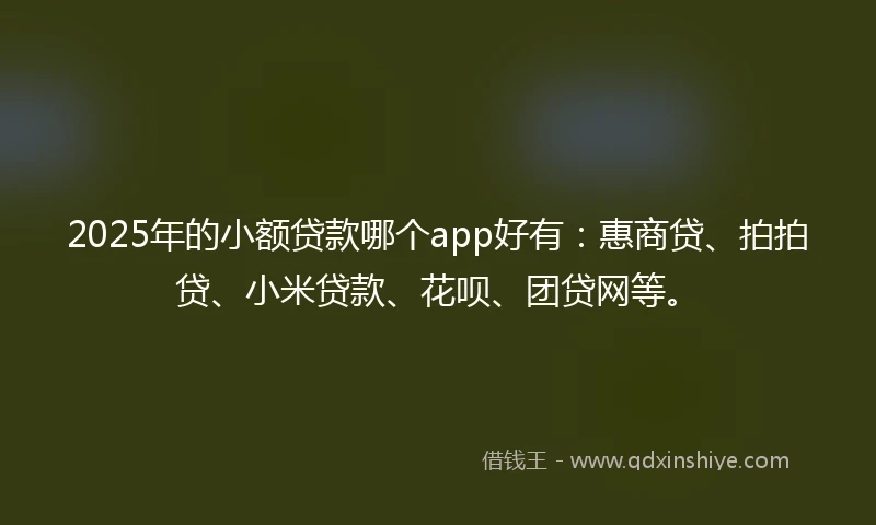 2025年的小额贷款哪个app好有：惠商贷、拍拍贷、小米贷款、花呗、团贷网等。