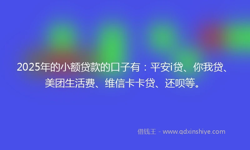 2025年的小额贷款的口子有：平安i贷、你我贷、美团生活费、维信卡卡贷、还呗等。