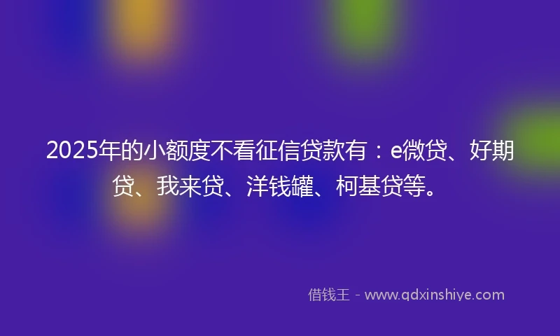 2025年的小额度不看征信贷款有：e微贷、好期贷、我来贷、洋钱罐、柯基贷等。