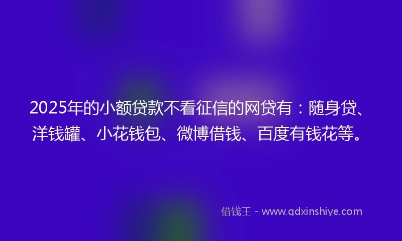2025年的小额贷款不看征信的网贷有：随身贷、洋钱罐、小花钱包、微博借钱、百度有钱花等。