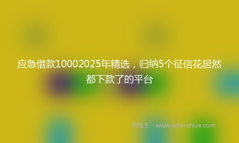 应急借款10002025年精选，归纳5个征信花居然都下款了的平台