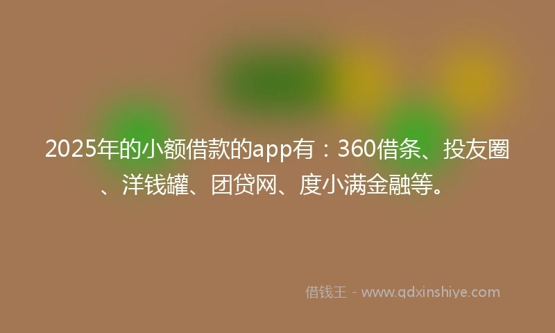 2025年的小额借款的app有：360借条、投友圈、洋钱罐、团贷网、度小满金融等。