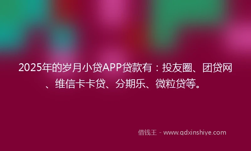 2025年的岁月小贷APP贷款有：投友圈、团贷网、维信卡卡贷、分期乐、微粒贷等。