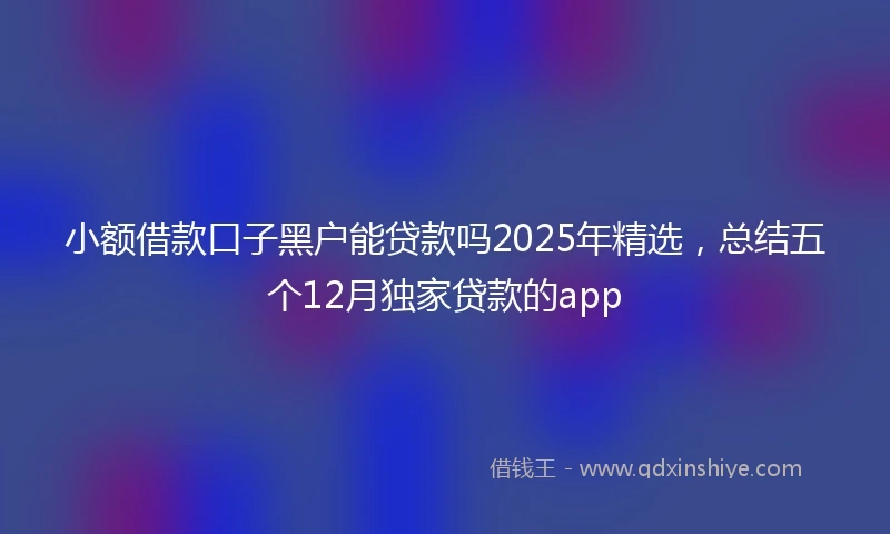 小额借款口子黑户能贷款吗2025年精选，总结五个12月独家贷款的app