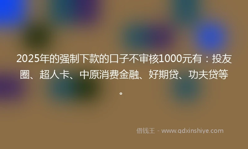 2025年的强制下款的口子不审核1000元有：投友圈、超人卡、中原消费金融、好期贷、功夫贷等。